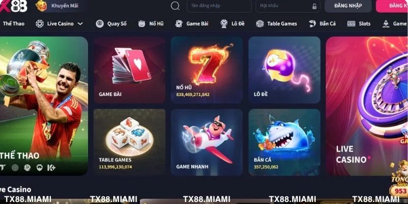 Chỉ chơi với số tiền bạn có thể chấp nhận mất để bảo vệ tài chính