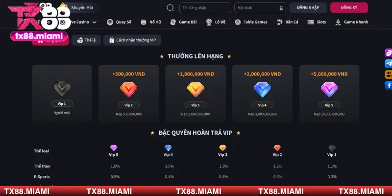 Các loại thưởng mà hội viên VIP TX88 sẽ nhận được