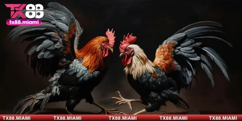 Mẹo xuống tiền hiệu quả anh em có thể áp dụng tại TX88 